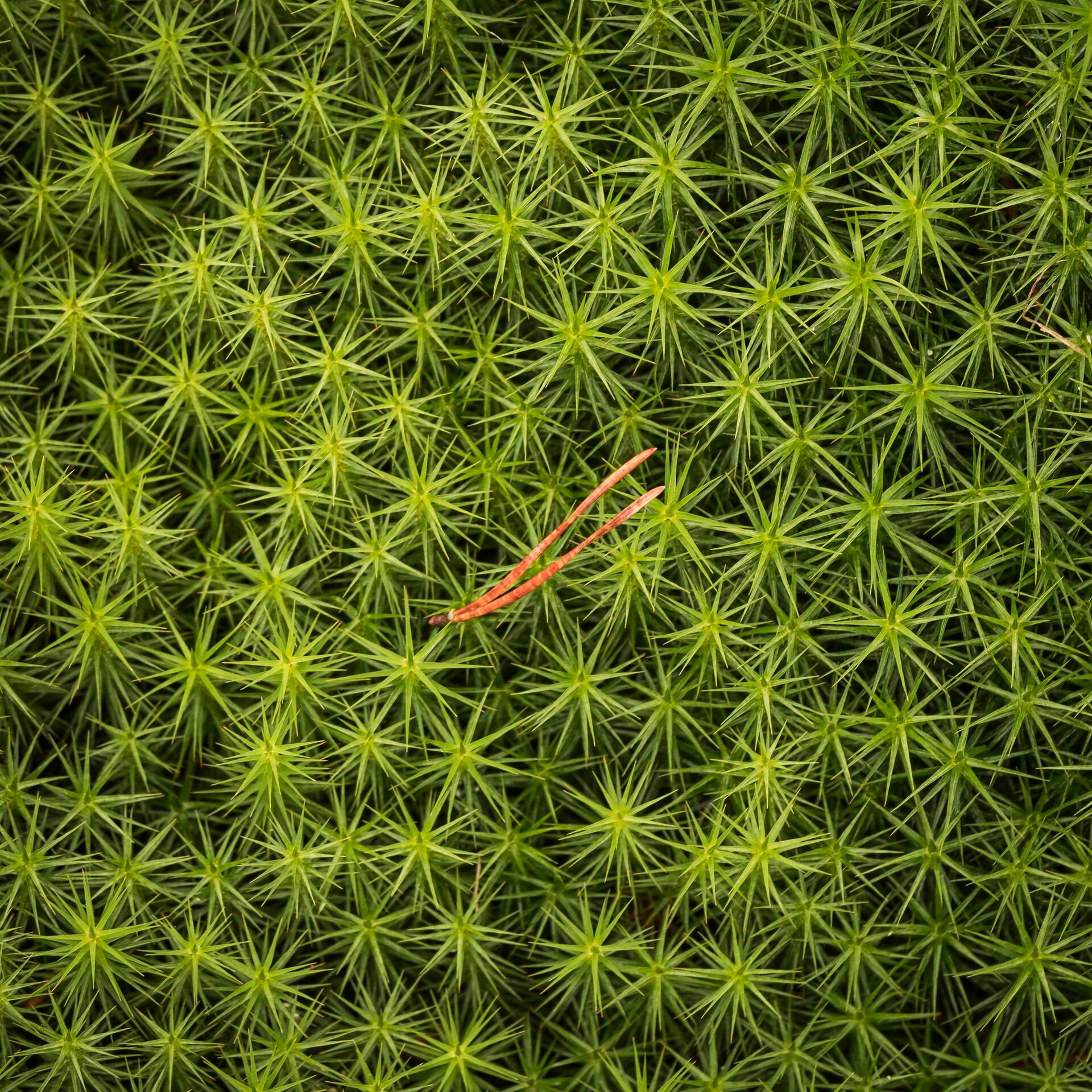 Landscape Photograph