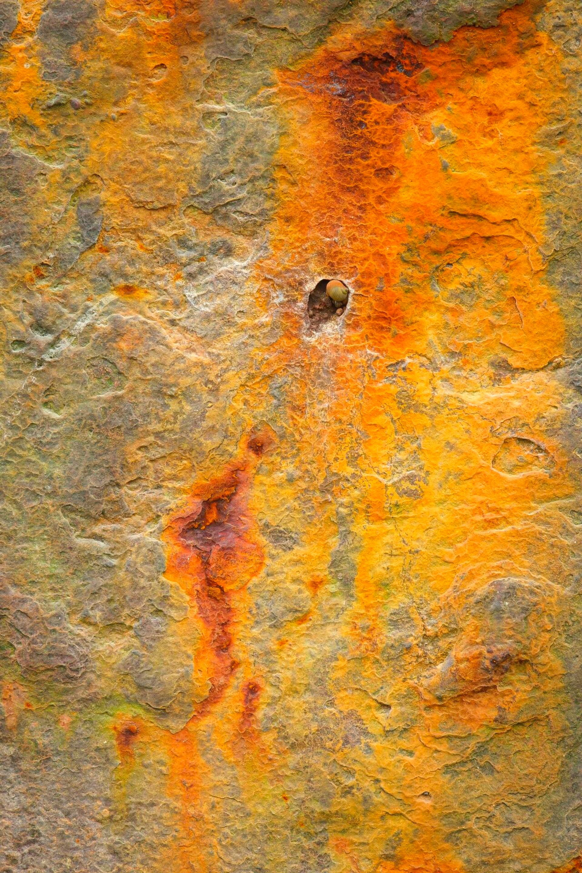 Landscape Photograph