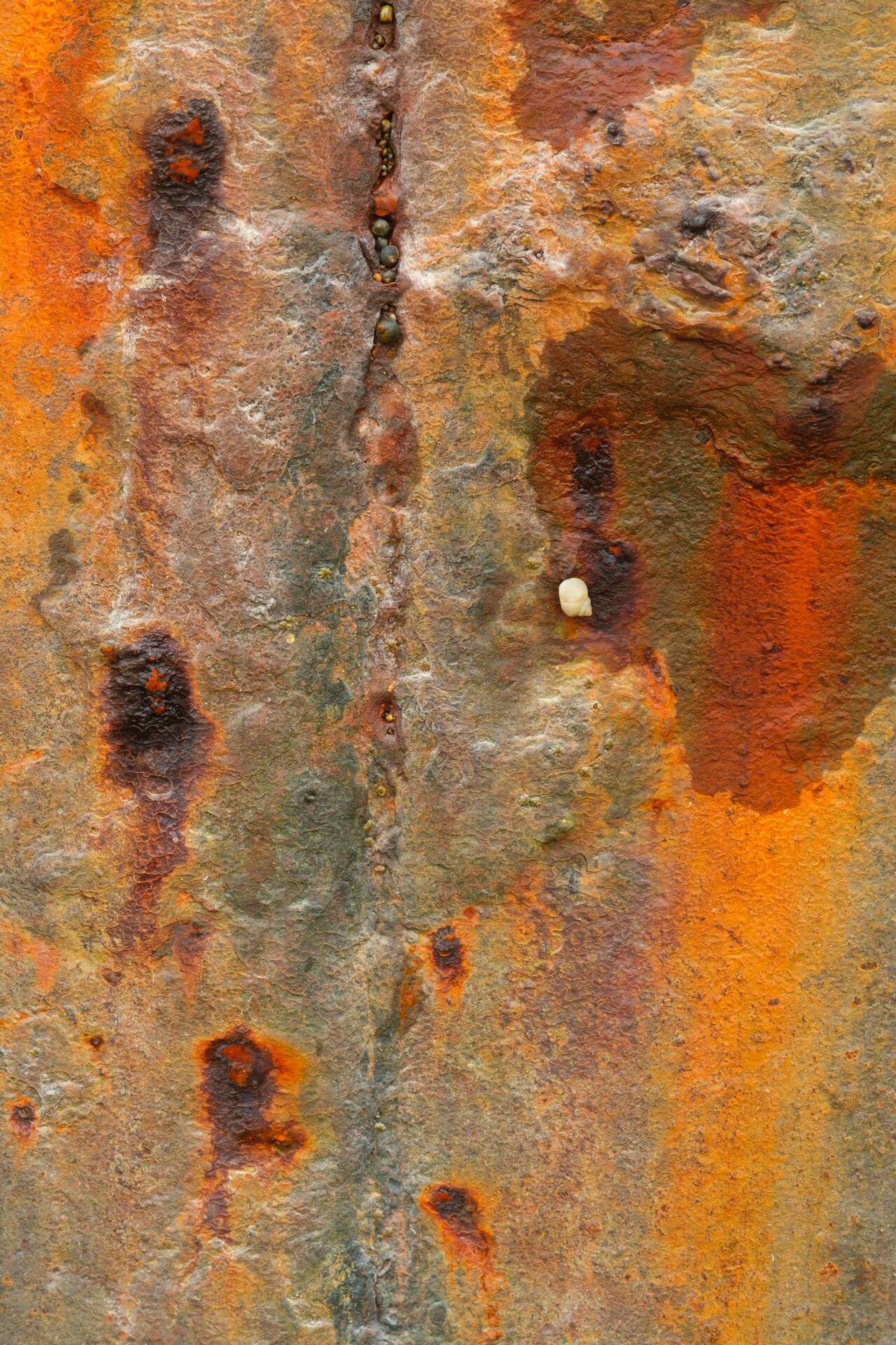 Landscape Photograph