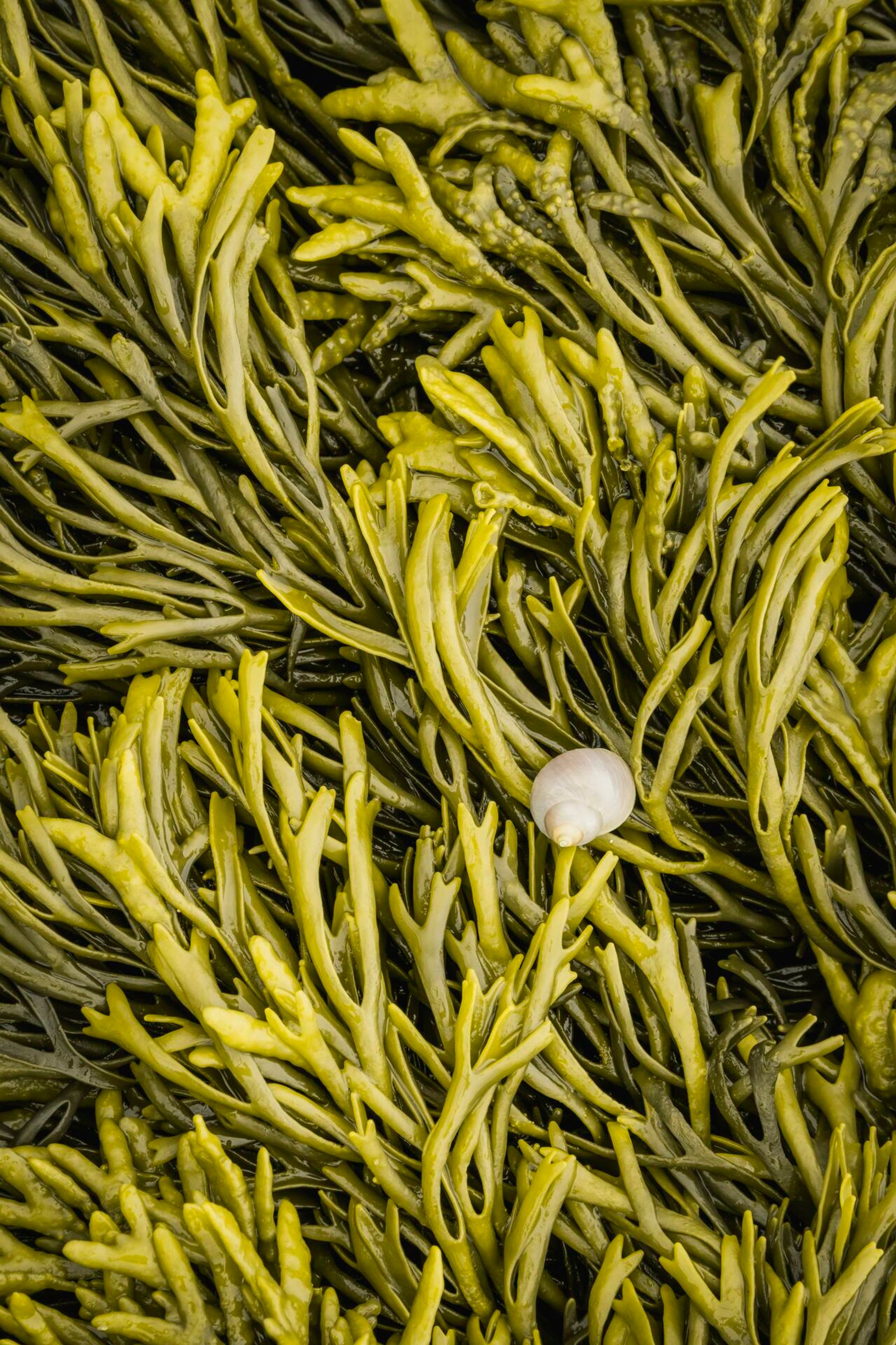 Landscape Photograph