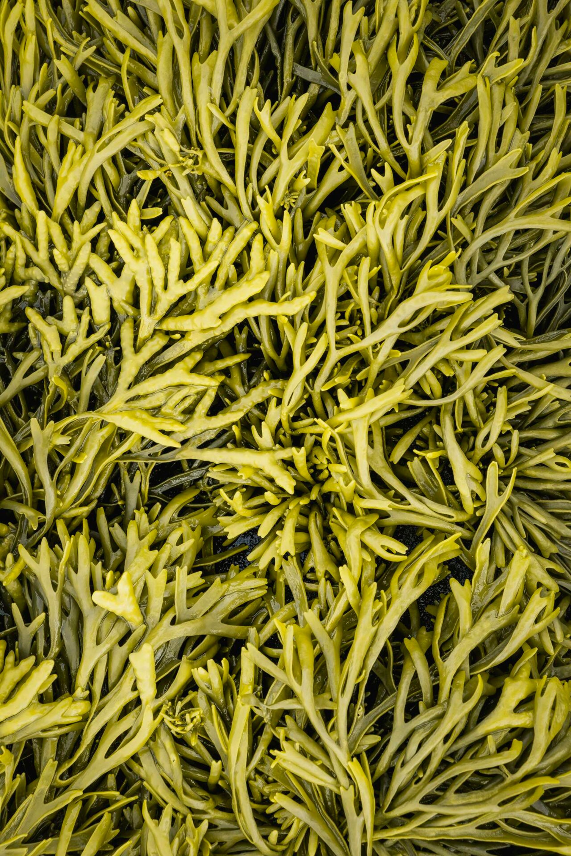 Landscape Photograph