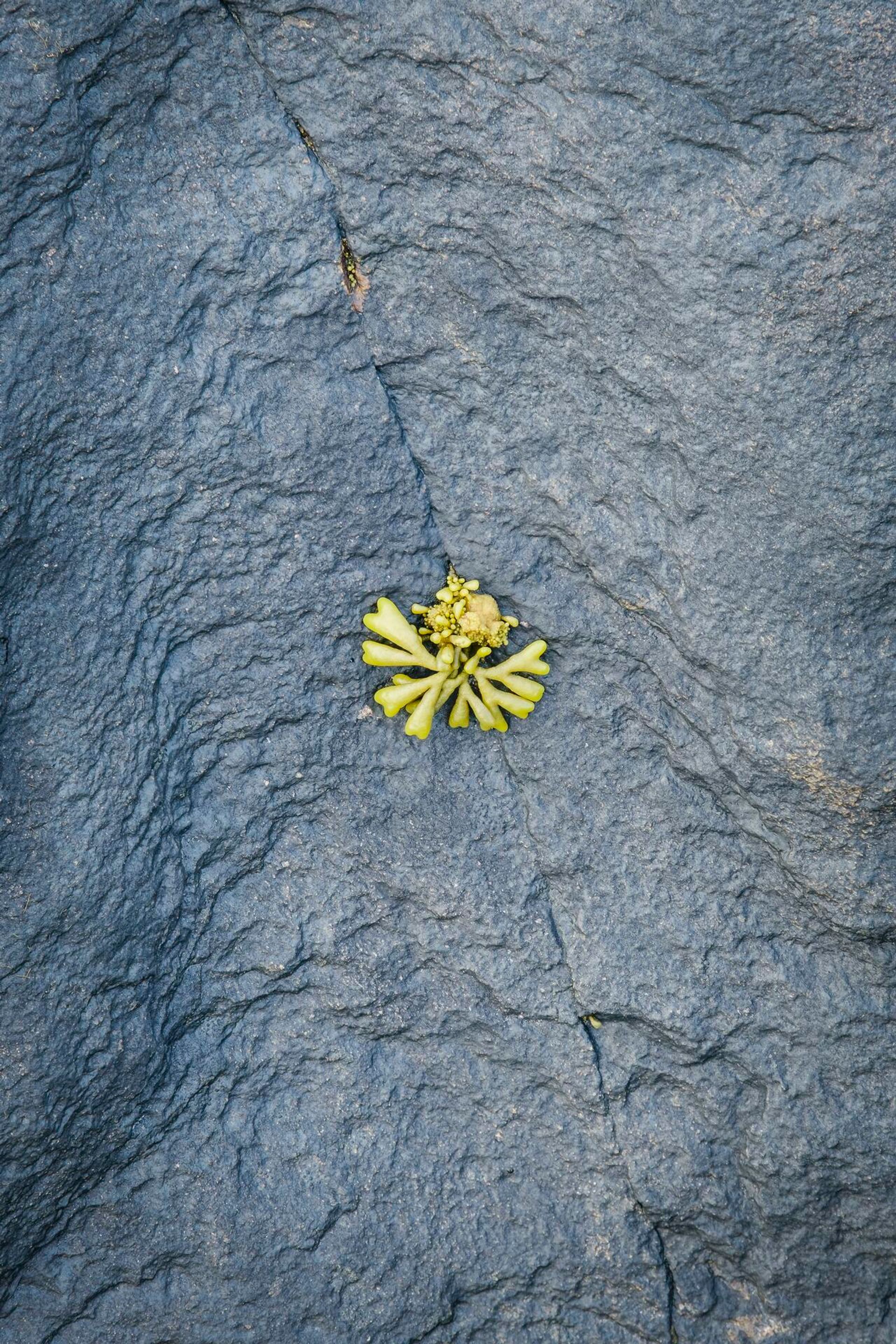 Landscape Photograph