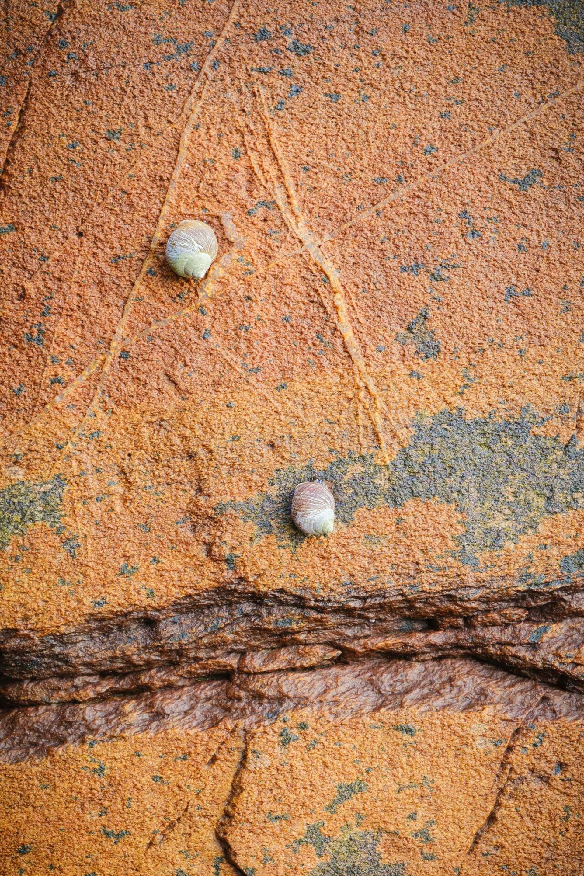 Landscape Photograph